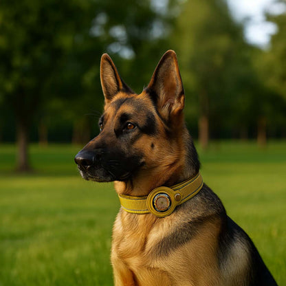 🐾 Cosmic Sensor Collar for Dogs – Metayantra®