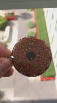 WiFi Protection Shingite Dual 12 Vortex TEC Torsion Field Generator